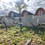 Farm stay Triarca Vinum House