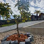 Farm stay Triarca Vinum House *